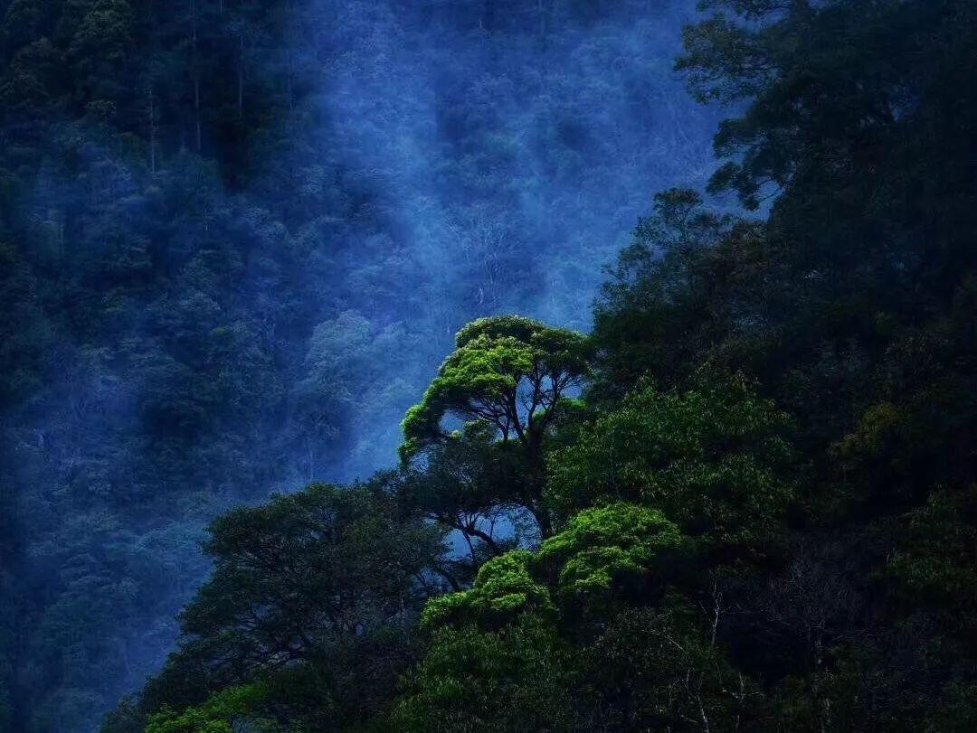 水果益智对对碰