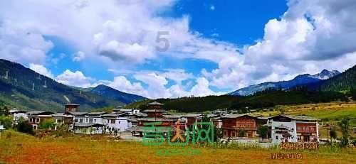 桃城区中华大街街道举办青年交友联谊会