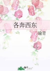小猫钓鱼正版下载中文版