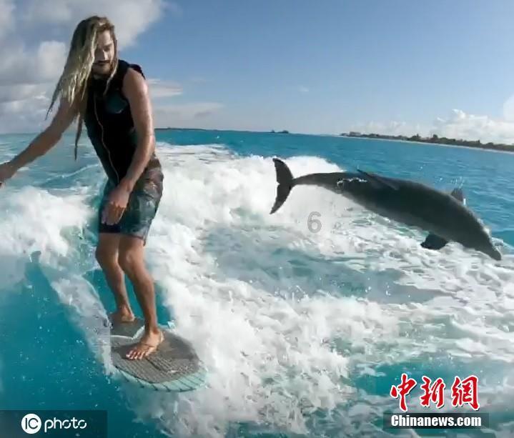 蓝色小球入袋