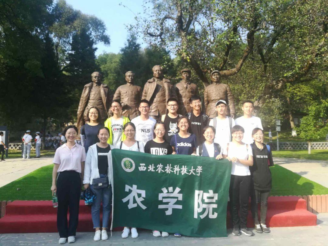 生化危机：启示录