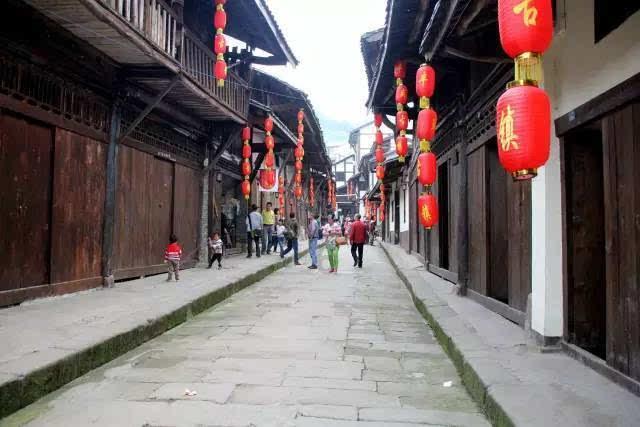 黑龙江省两会观察：如何推进寒地中药材产业快速发展？